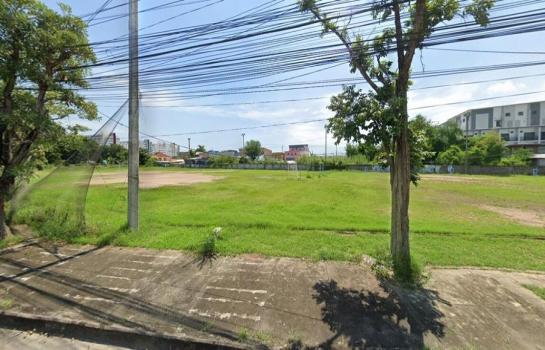 �ҧ�� �� HarrisonTH