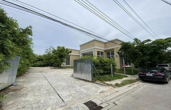 ���⢹� �� ��ͼ��