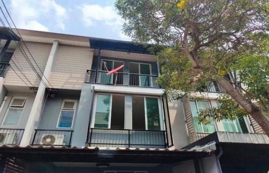 ��Ը� �蹨Թ��