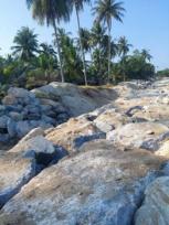 ���Թ ������� 4,902 ���ҧ��