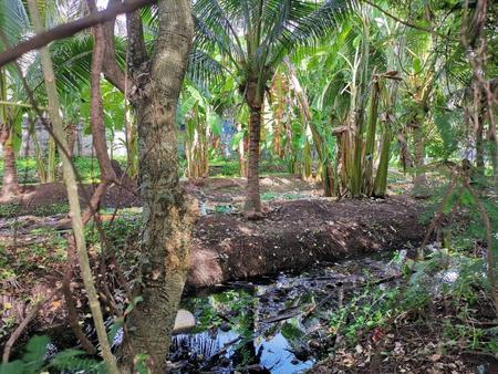 ���Թ�ٻ�����������׹��� ���觪ѹ