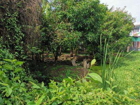 ���Թ�ٻ���������� ���觪ѹ