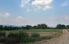ขาย ที่ดิน