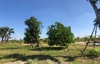 ��ҹ�Դ����Ҹ�ó�2��ҹ �ؾ�ó����