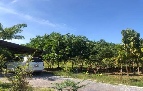 ��ҹ����Ҹ�óд�ҹ �ؾ�ó����