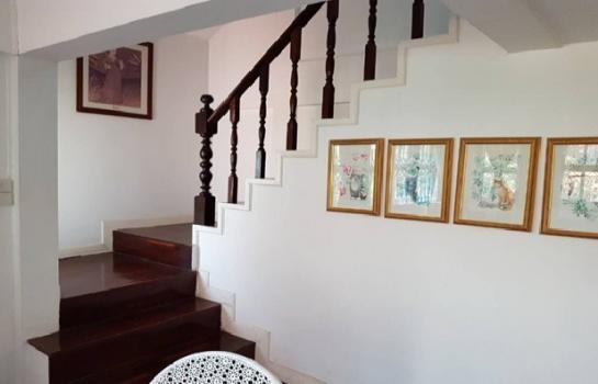 ��ҹ������� �оҹ�٧