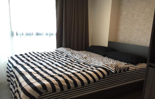 �ҧ�� �� easythaihome