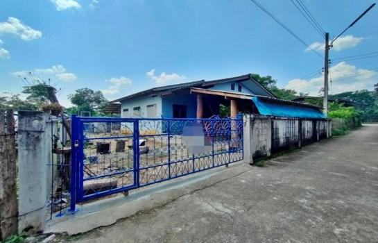 ��º�ҹ �Թ�ӻҧ