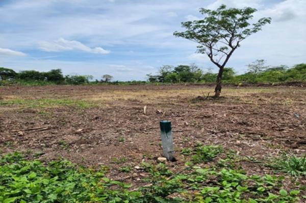 ���ԧ��� �� Baan Bangkok Broker