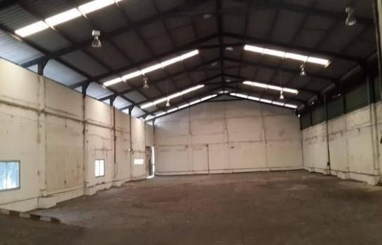 �ҧ��Ҹ� �� kongpl