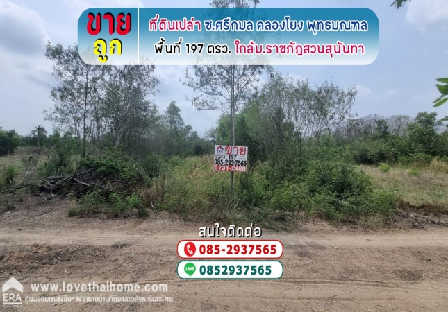 ��û�� �� lovethaihome101