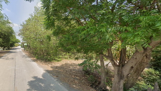 ���Թ 21 ���