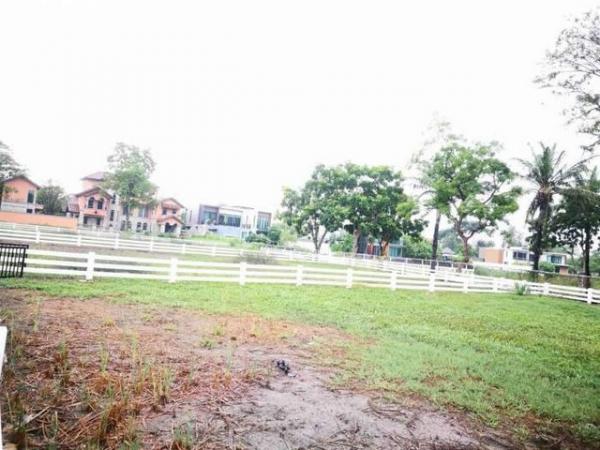 ��ا෾ �� kantapon4