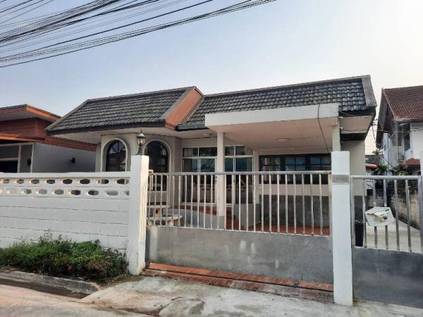 �Ң�ѭ �Ź�����