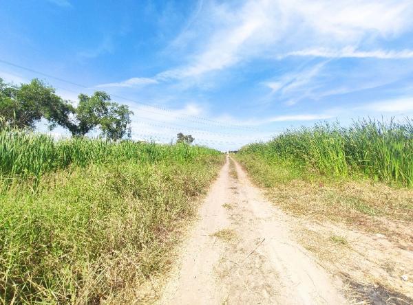 ���˹ͧ�͡ �� Asset Internal