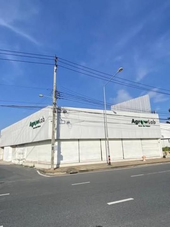 ⡴ѧ��ا෾ �� eakplsub64