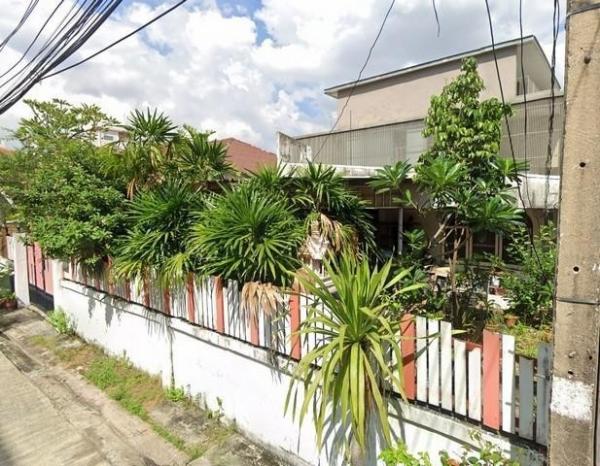 ���¢�ҧ �� naorinpl