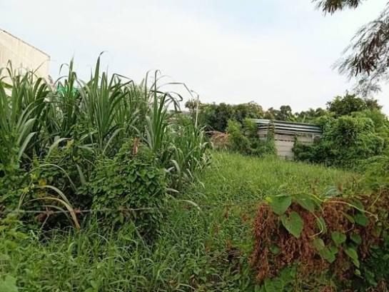 ���˹ͧ�� �� Estate Corner