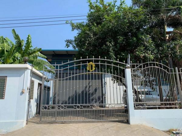 �ç�ҹ ������§