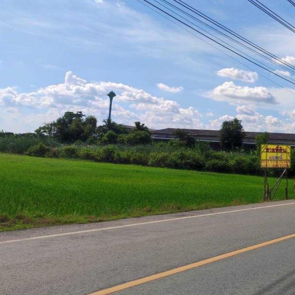 ���Թ 21 ���