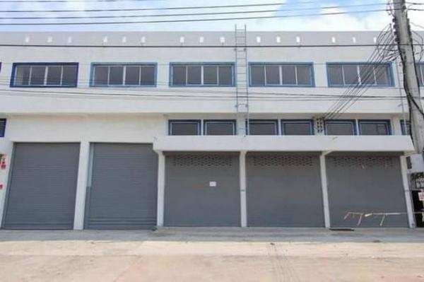 �ҧ��� �� kongpl