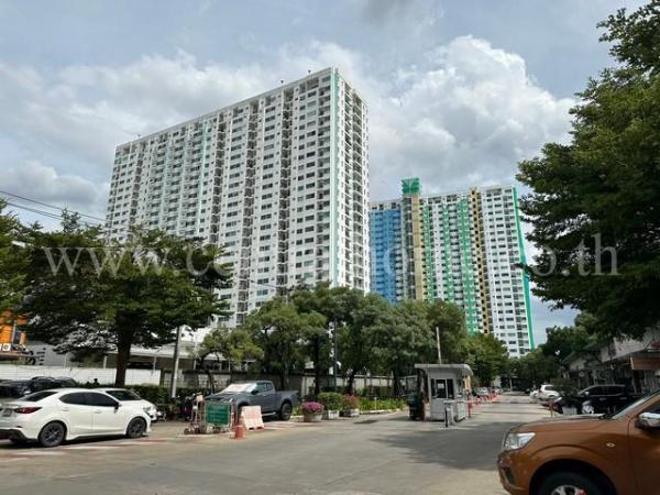 ����ѷ �繷��� ��� ���;������ �ӡѴ