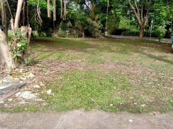 ������ �� onanong khumaphao