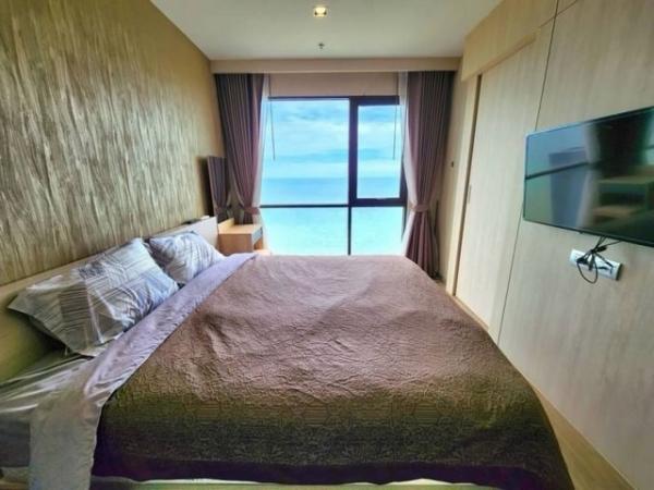 �͹����������ú �ź���