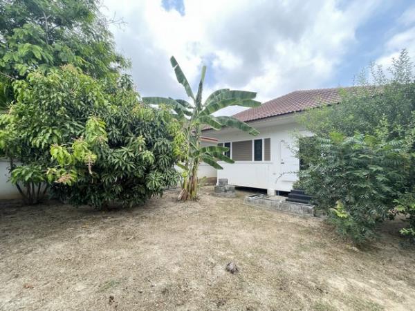 ��ҹ���ͧ �� compos2566