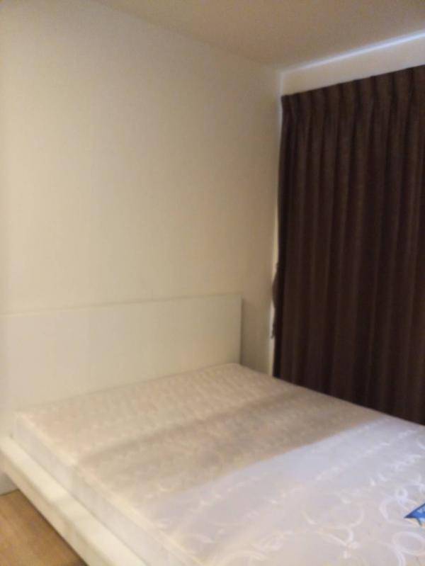 ��¹������ �� theemprime1