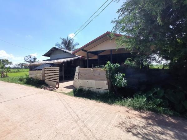 ��¡���Թ��� �� compos2566