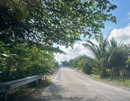 ���ͧ �� incube