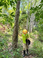 ��·��Թ �Ҥһ�С�Ȣ�� 3,000,000 �ҷ