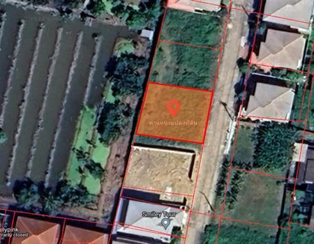 ���Թ�ҧ� �� incube