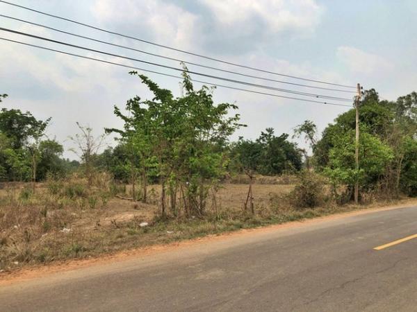 �ء����� �� panaya.opalopal