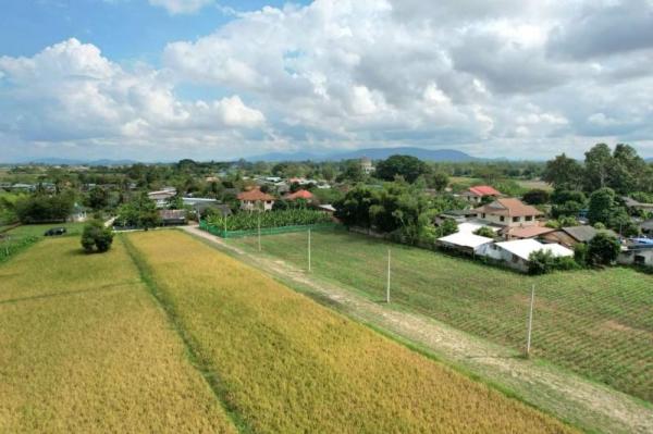 ���ͧ �� Asset Internal