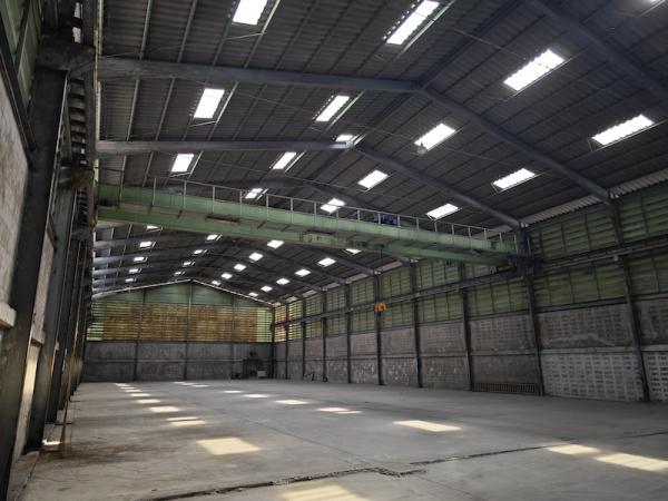 ⡴ѧ����ͧ �� PL BUA