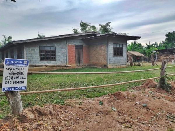 ���Թ��� �� compos2566