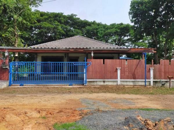 ���Թ��� �� panaya.opalopal