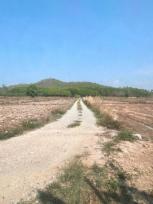 ��·��Թ �Ҥһ�С�Ȣ�� 6,900,000 �ҷ