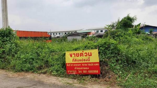 ������� �� sopa