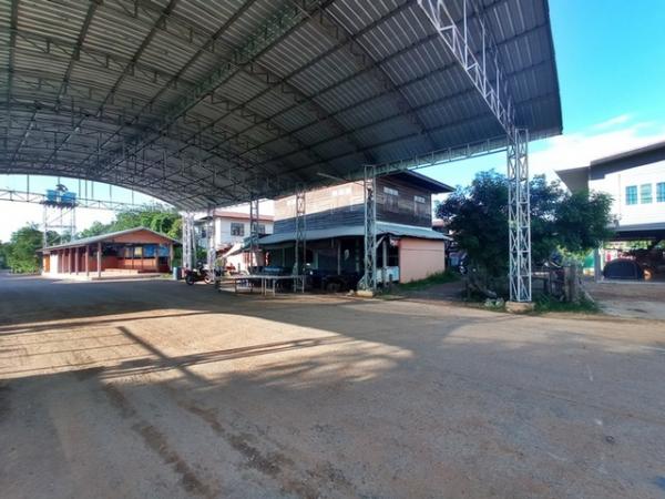 ��¡���Թ��� �� panaya.opalopal