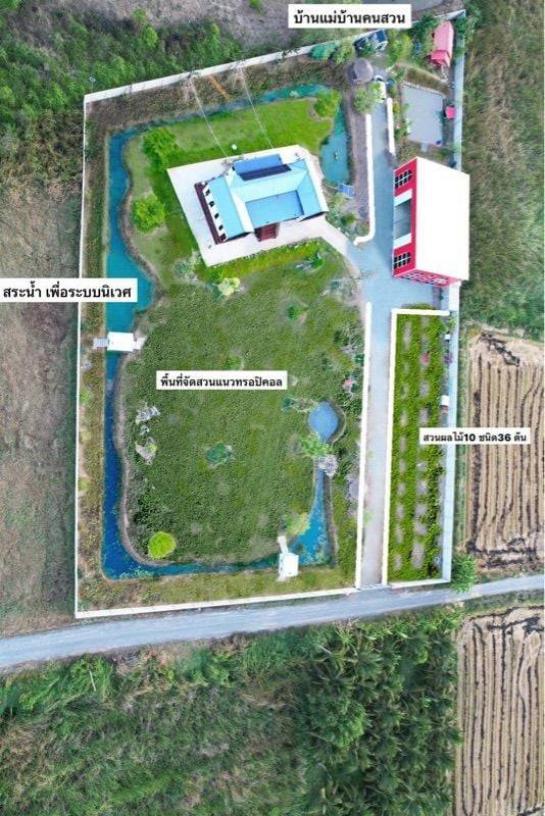 ��¸�áԨ �ҧ�Ź��û��