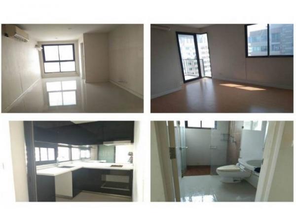 ���¢�ҧ �� compos2566