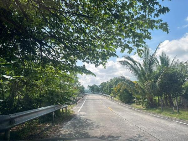 ���ͧ �� incube