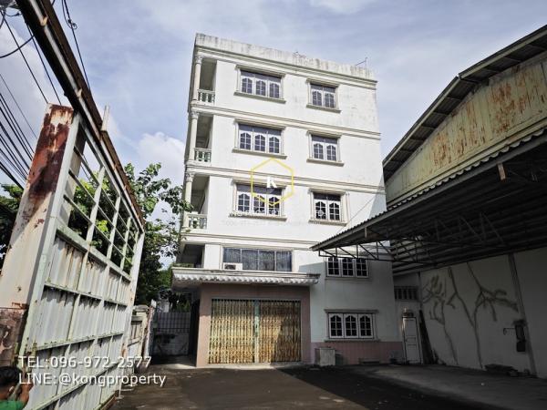 ⡴ѧ����ͧ �� Kong property