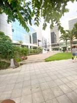 ������ �Ҥ�þҳԪ�� �ҧ�л�