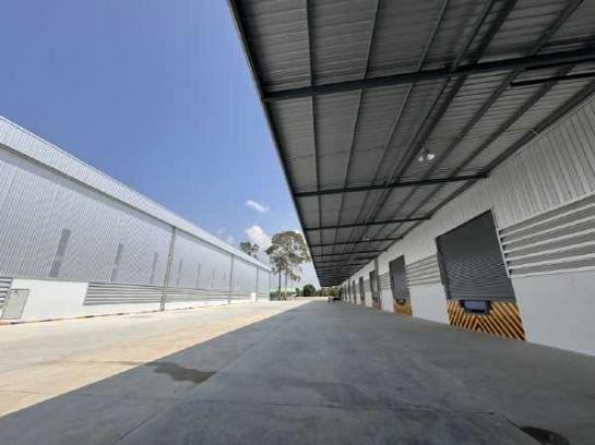 ����Ҫ� �� Pattaya dot Property