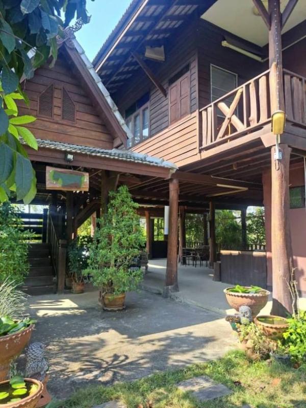 �ҧ�� �� northern1