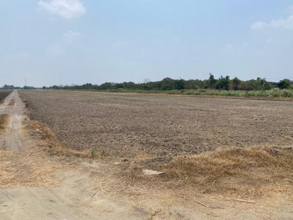 ���Թ���ͧ �� Nan